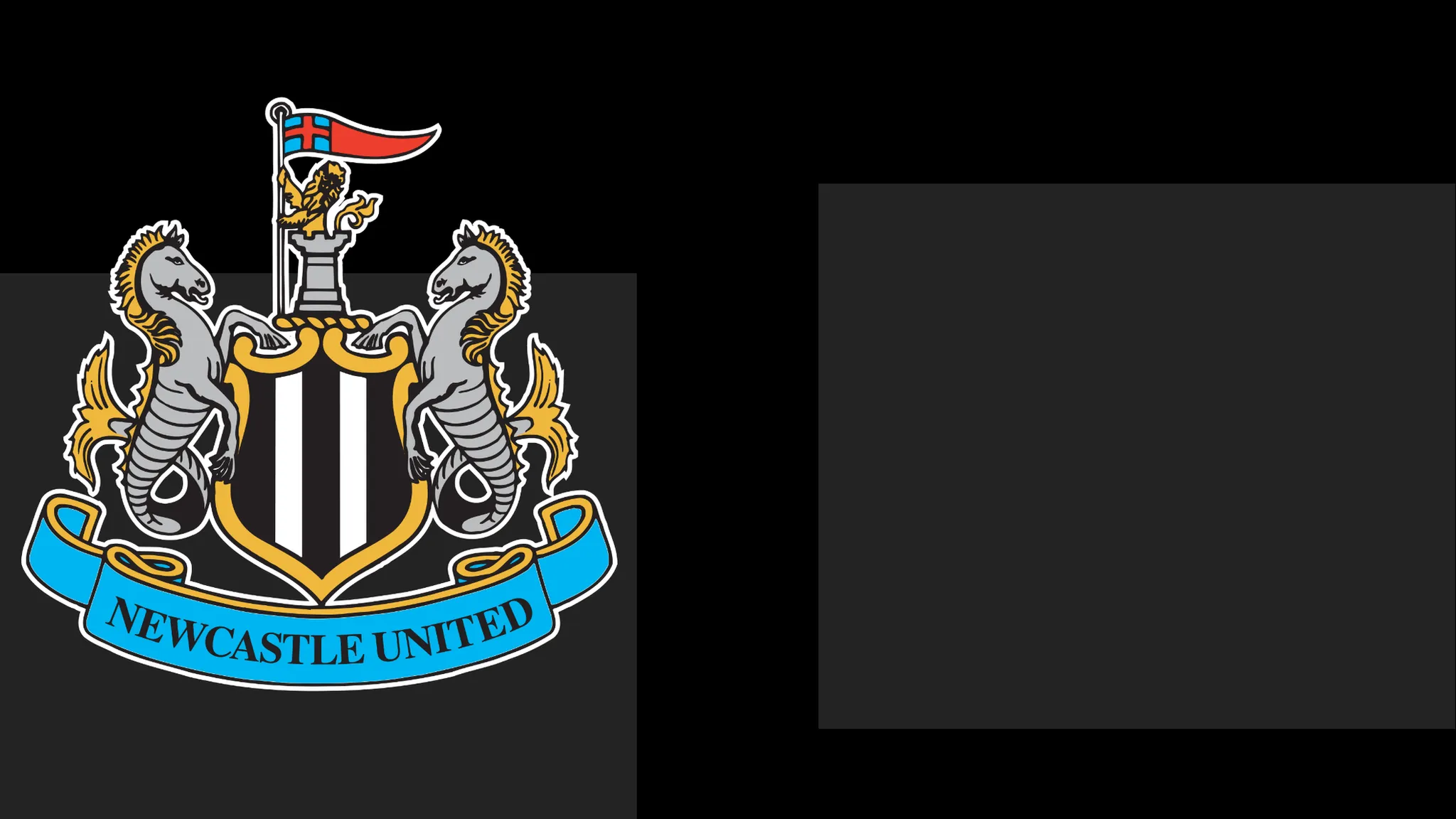 Newcastle's boss Commends Team's Determination – But That Only Carries Them So Far
